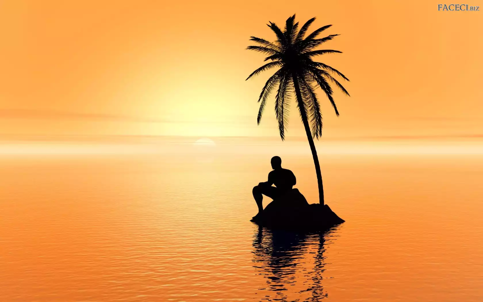 Mężczyzna, Morze, Słońca, Zachód, Wysepka, Palma