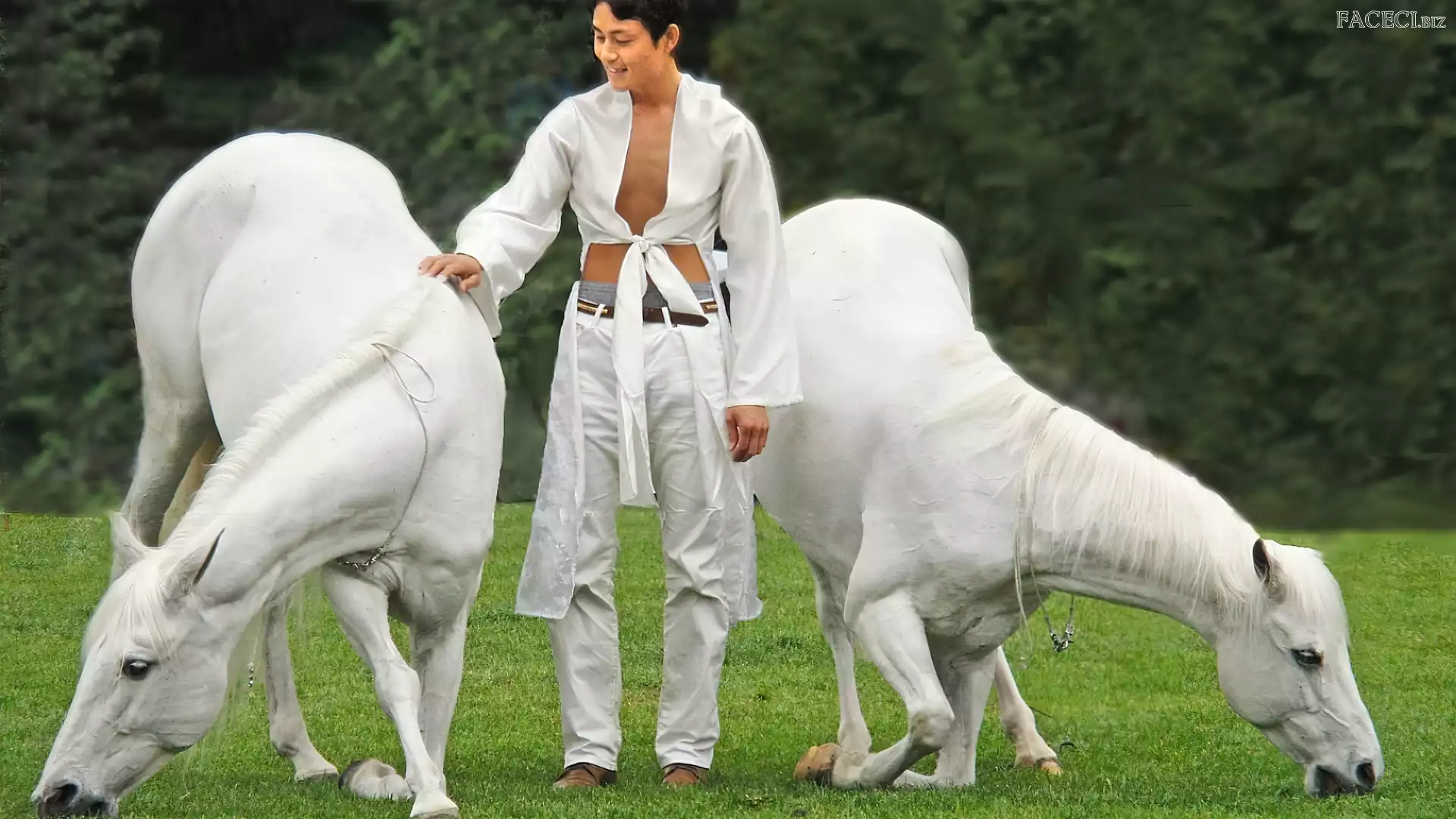 Treser, Mężczyzna, Dwa, Konie, Białe